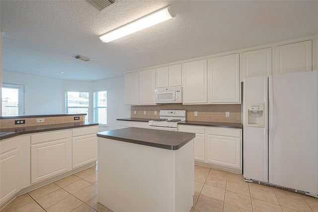17210 Double Lilly Drive, Houston, TX 77095