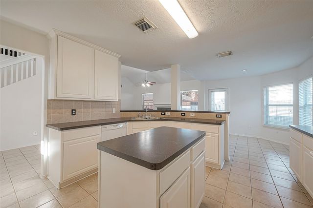 17210 Double Lilly Drive, Houston, TX 77095
