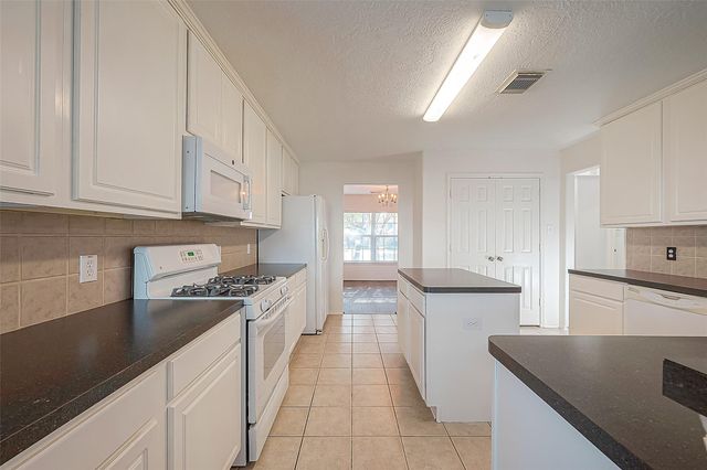 17210 Double Lilly Drive, Houston, TX 77095