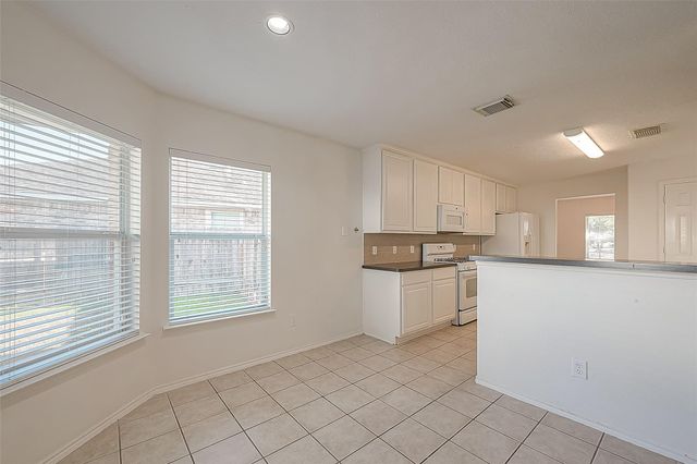 17210 Double Lilly Drive, Houston, TX 77095