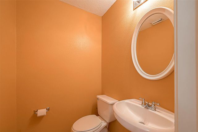 17210 Double Lilly Drive, Houston, TX 77095