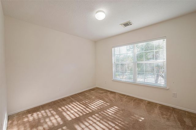 17210 Double Lilly Drive, Houston, TX 77095