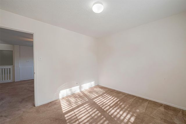 17210 Double Lilly Drive, Houston, TX 77095