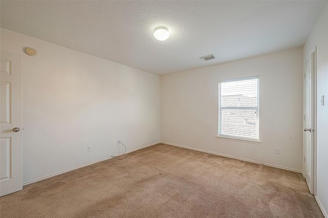 17210 Double Lilly Drive, Houston, TX 77095