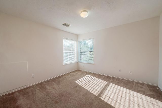 17210 Double Lilly Drive, Houston, TX 77095
