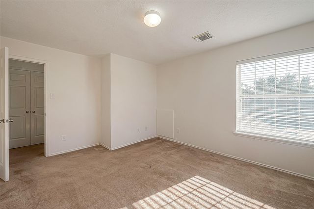 17210 Double Lilly Drive, Houston, TX 77095