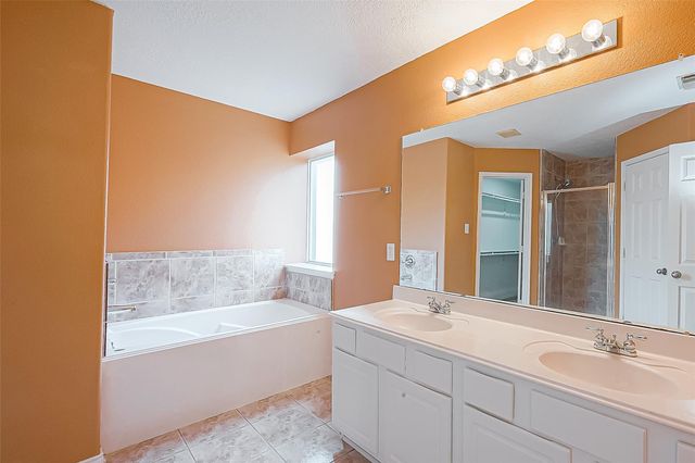 17210 Double Lilly Drive, Houston, TX 77095