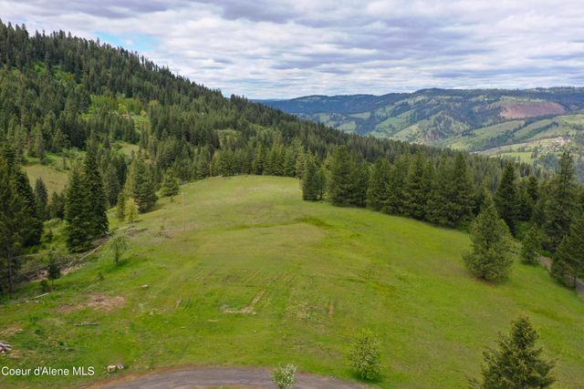 673 Neighbors Lane, Orofino, ID 83544