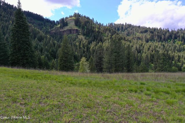 673 Neighbors Lane, Orofino, ID 83544
