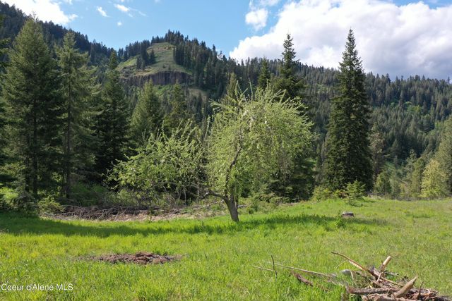 673 Neighbors Lane, Orofino, ID 83544