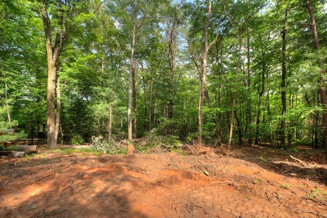 00 Sugar Creek Road, Blue Ridge, GA 30513