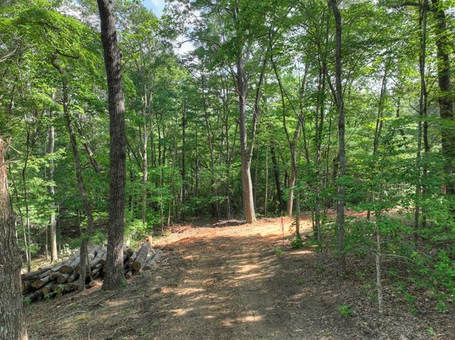 00 Sugar Creek Road, Blue Ridge, GA 30513