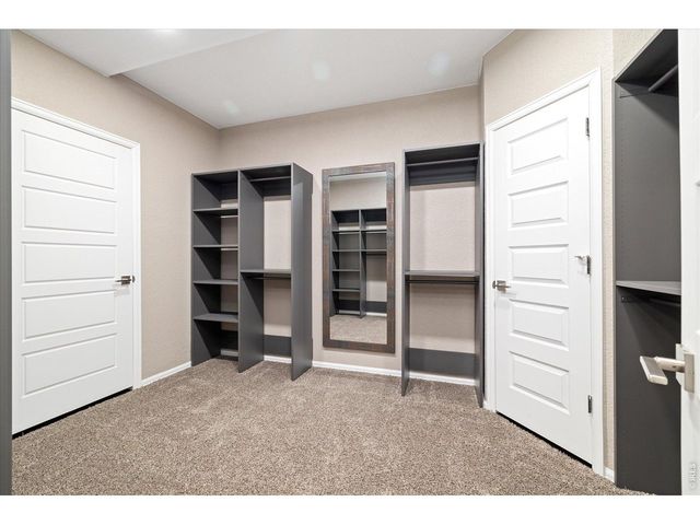 6725 Mentha Dr, Castle Rock, CO 80108