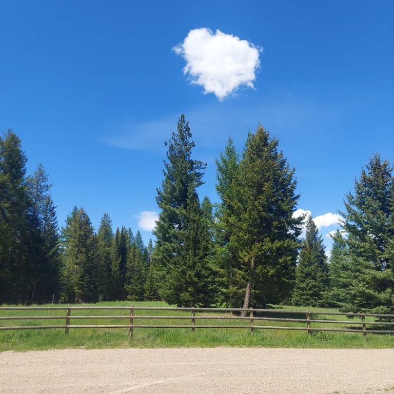 183 Washboard Drive, Condon, MT 59826 photo 2