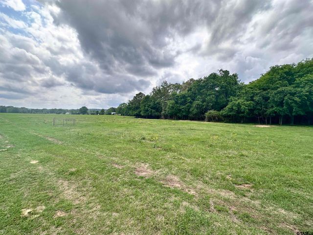 0 US Highway 175, Frankston, TX 75763