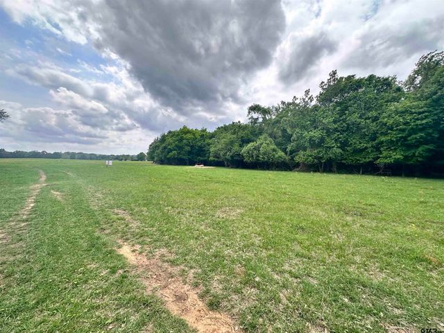 0 US Highway 175, Frankston, TX 75763