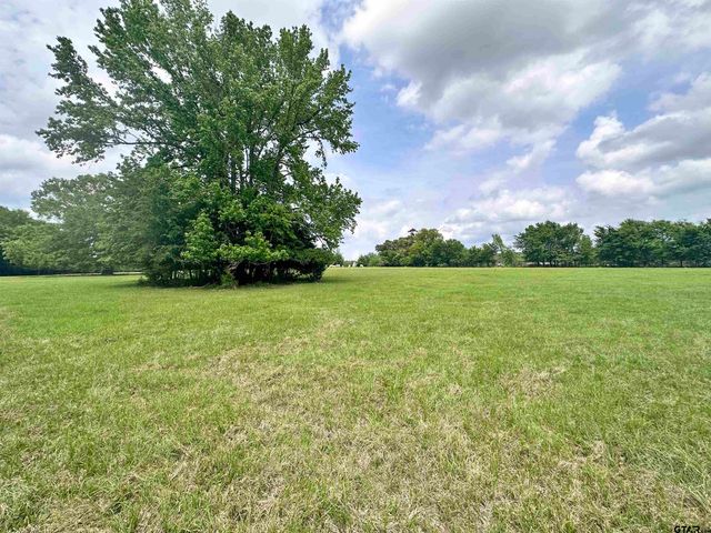 0 US Highway 175, Frankston, TX 75763