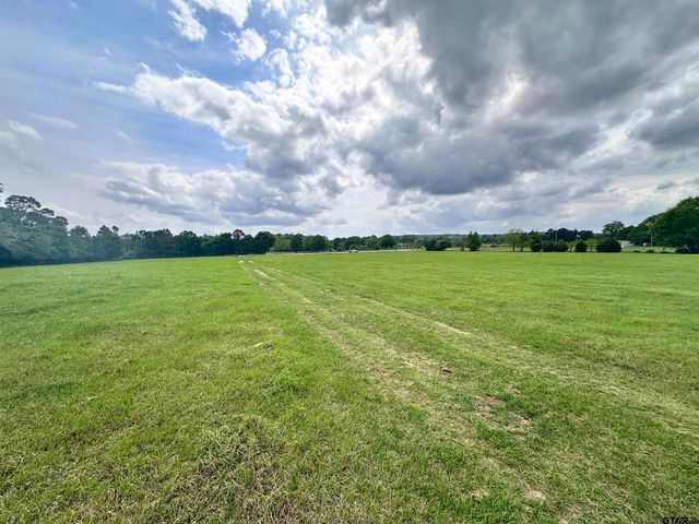 0 US Highway 175, Frankston, TX 75763