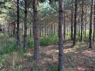 Lot 1 Grass Farm Road, Titus, AL 36080