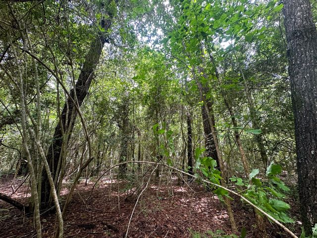 TBD Hwy 1131, Vidor, TX 77662