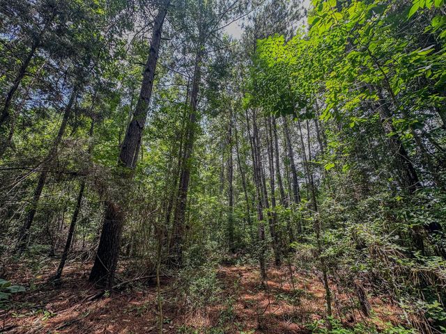 TBD Hwy 1131, Vidor, TX 77662