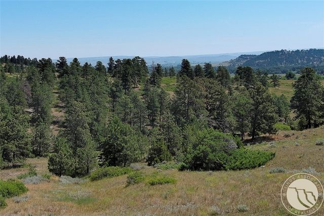 NHN Monahan Road, Joliet, MT 59041