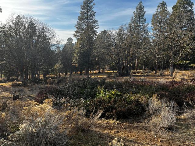 Lot 29 Siskin Lane, Klamath Falls, OR 97601