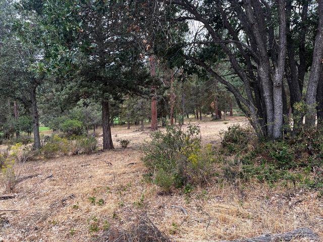 Lot 29 Siskin Lane, Klamath Falls, OR 97601