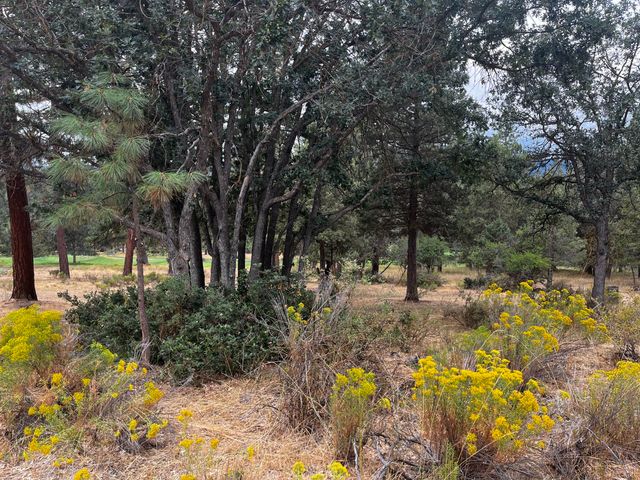 Lot 29 Siskin Lane, Klamath Falls, OR 97601