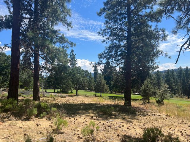 Lot 29 Siskin Lane, Klamath Falls, OR 97601
