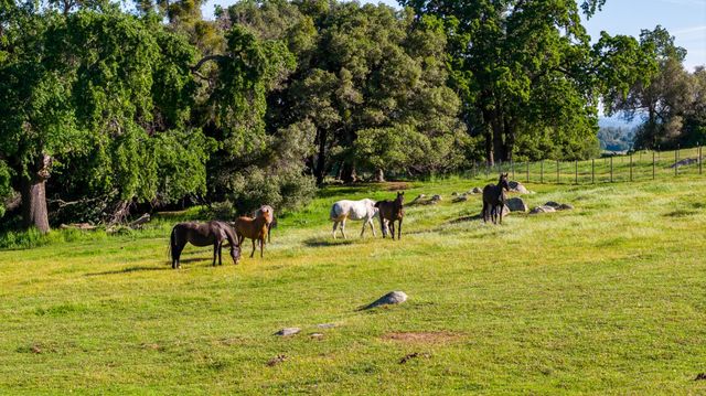 1992 Rabbit Ridge Rd, Somerset, CA 95684