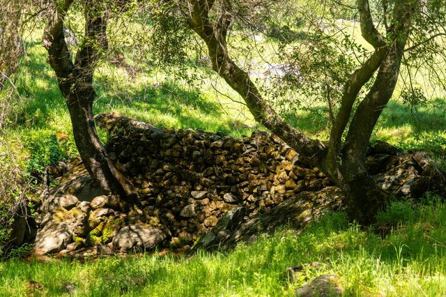 1992 Rabbit Ridge Rd, Somerset, CA 95684