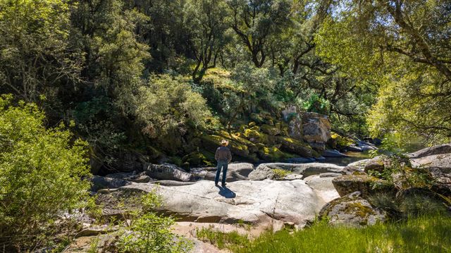 1992 Rabbit Ridge Rd, Somerset, CA 95684