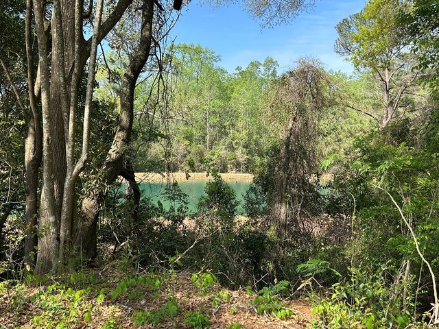 250 Swet Gum Dr, Dothan, AL 36303