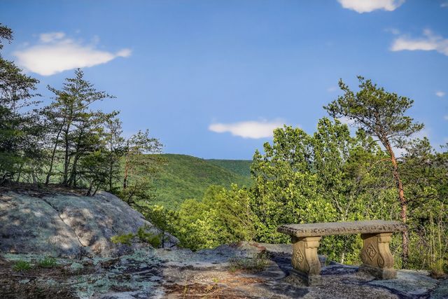 275 Buckeye Ln, Wilder, TN 38589