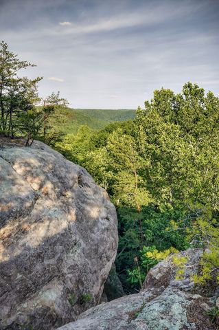 275 Buckeye Ln, Wilder, TN 38589