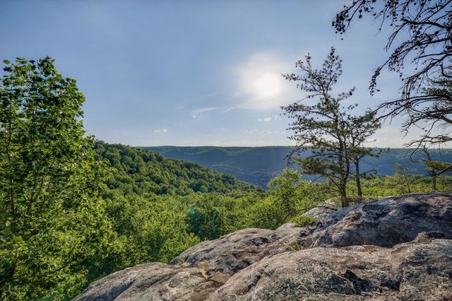 275 Buckeye Ln, Wilder, TN 38589