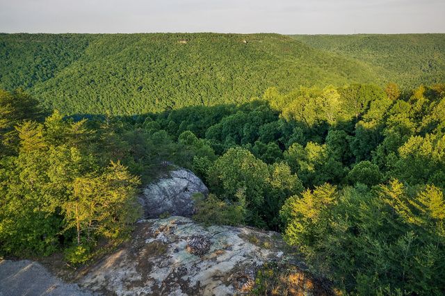 275 Buckeye Ln, Wilder, TN 38589