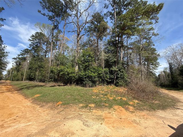 TBD Glenn Barber Dale Evans Road, Livingston, TX 77351