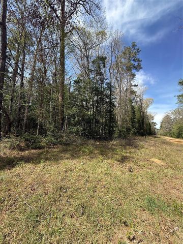 TBD Glenn Barber Dale Evans Road, Livingston, TX 77351