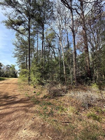 TBD Glenn Barber Dale Evans Road, Livingston, TX 77351