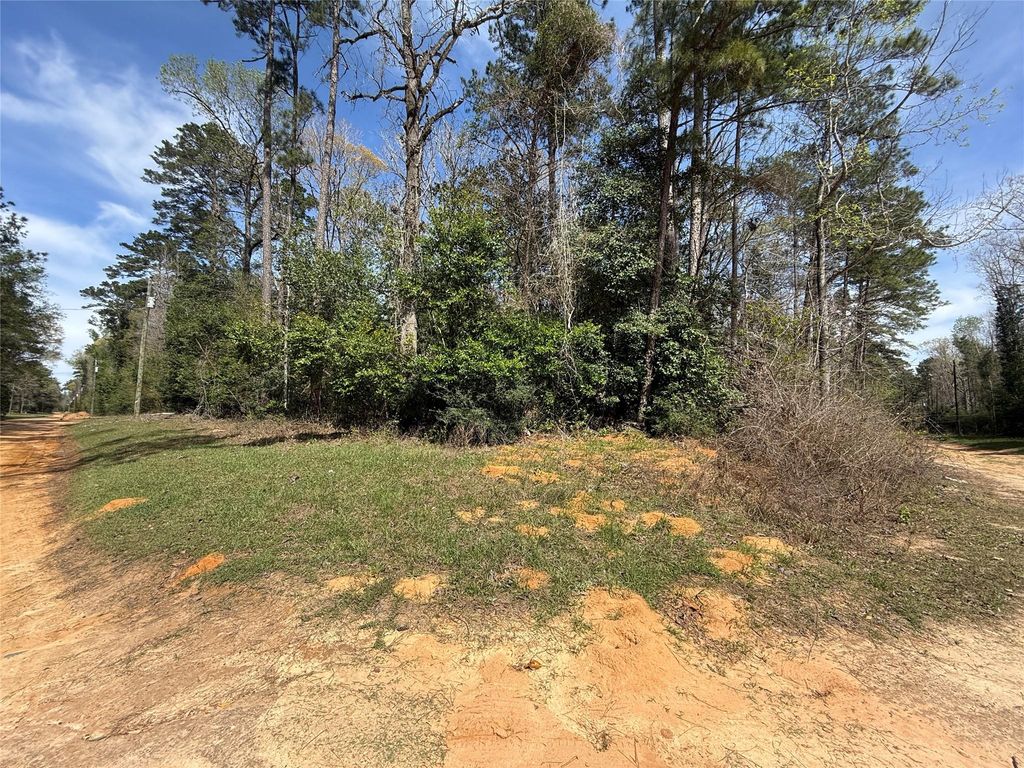 TBD Glenn Barber Dale Evans Road, Livingston, TX 77351