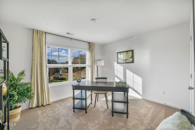 229 Artist Avenue, Johnson City, TN 37615