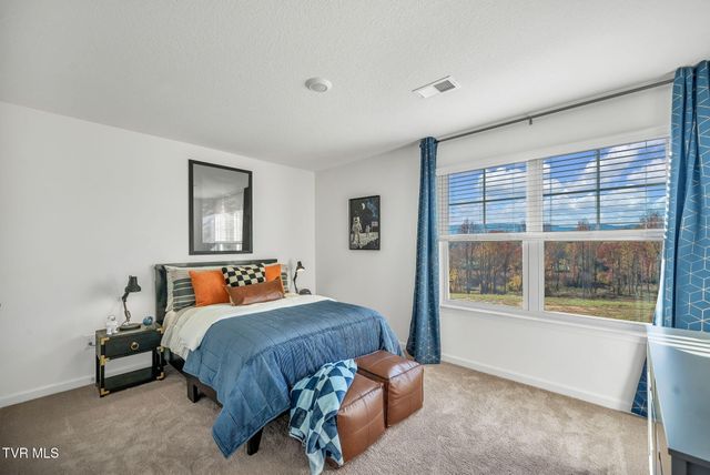 229 Artist Avenue, Johnson City, TN 37615