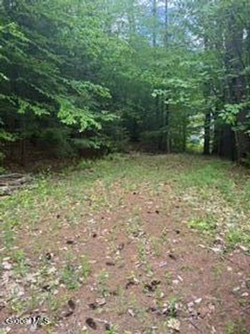 65 Hawk Road, Lake Luzerne, NY 12846