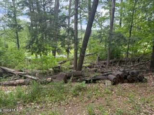 65 Hawk Road, Lake Luzerne, NY 12846