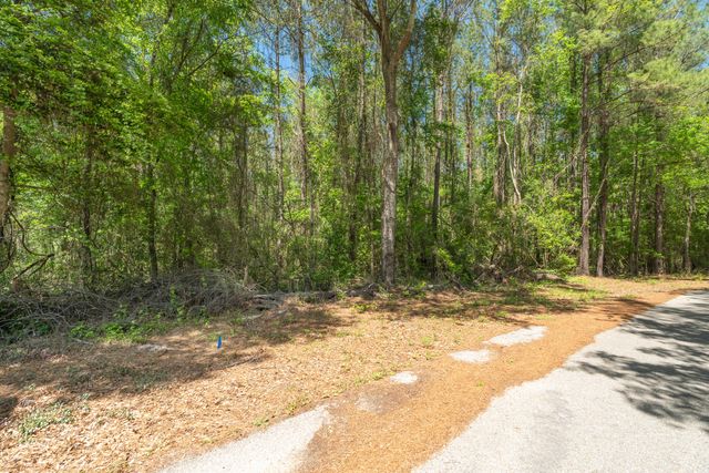 Parcel A MS-42, Petal, MS 39564