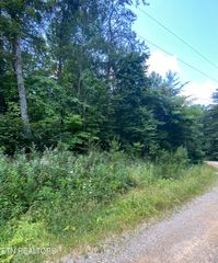 Lot 3 Welch Rd, Tellico Plains, TN 37385