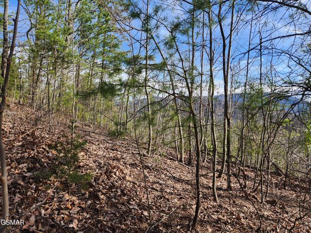 46 Feld Wynde Close Way, Sevierville, TN 37862