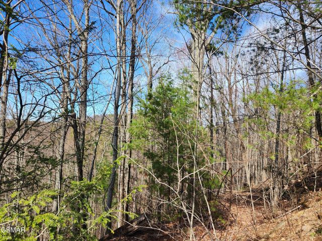 46 Feld Wynde Close Way, Sevierville, TN 37862